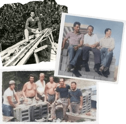 tg basile family of builders